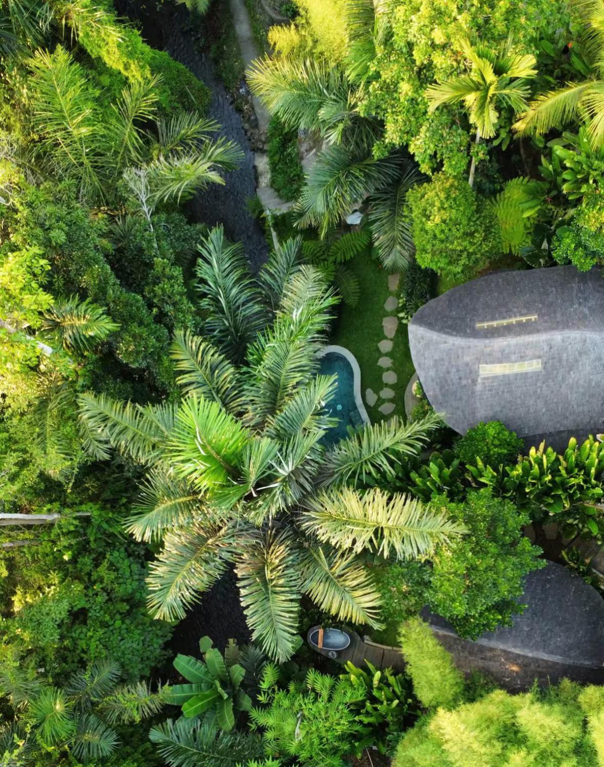 Wahem Eco Bamboo - Magical Bamboo House Ubud Bali Villa Ngoại thất bức ảnh